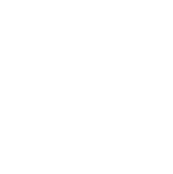 Shopify Ecommerce Website
                                            Development