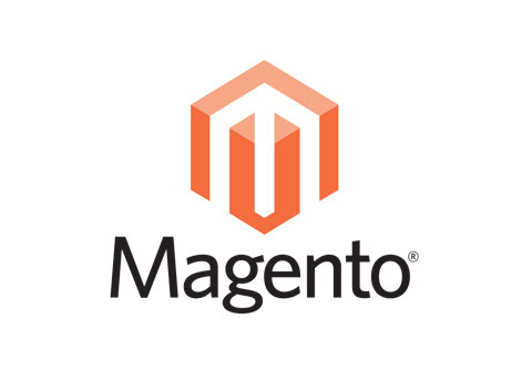 Magento Ecommerce Web Development