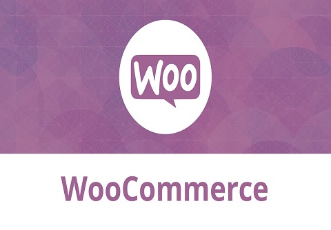 WooCommerce Ecommerce Web Design