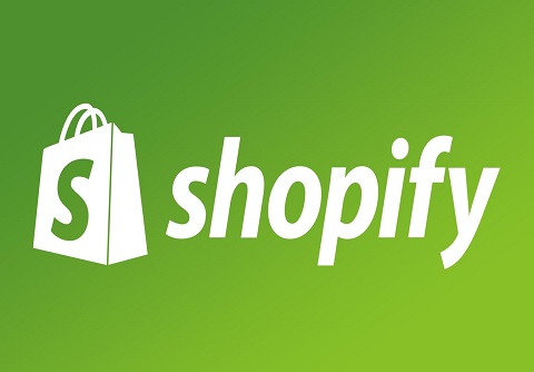 Shopify Ecommerce Website Development